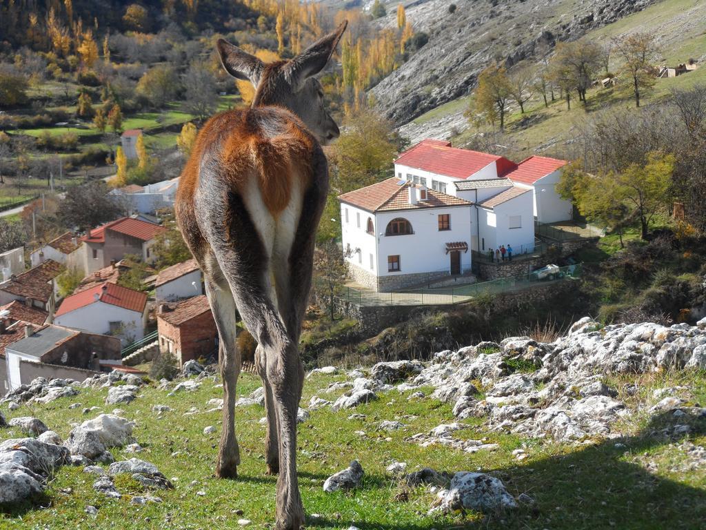 Casa Rural El Perchel Pontones  Δωμάτιο φωτογραφία